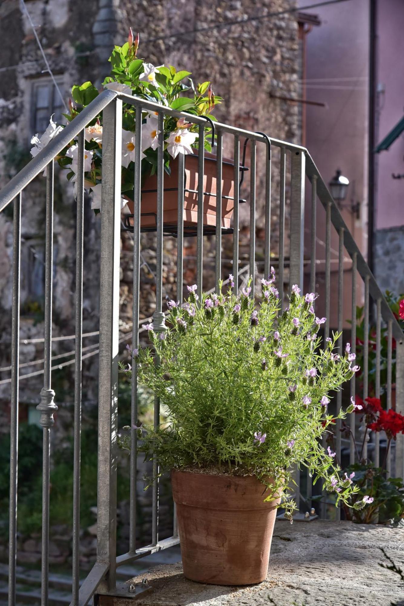 Casa Vacanze Tra I Monti E San Martino Biassa Экстерьер фото